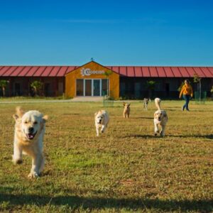 Residencia canina Cucocan